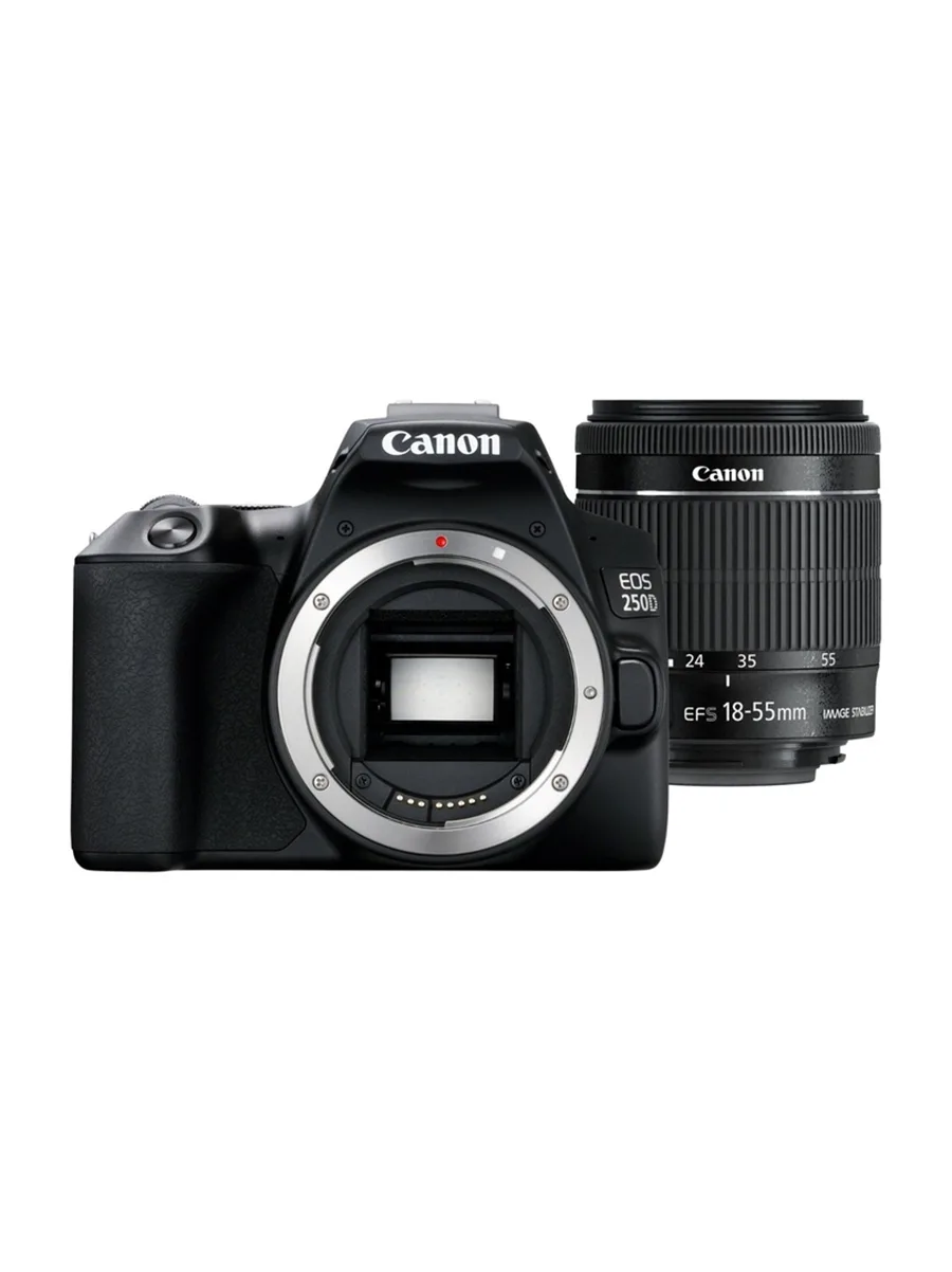 Зеркальный фотоаппарат Canon EOS 250D 18-55mm IS Stim Kit