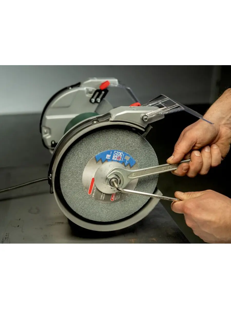 Точильно-шлифовальный станок Metabo DS 200 Plus (604200000)