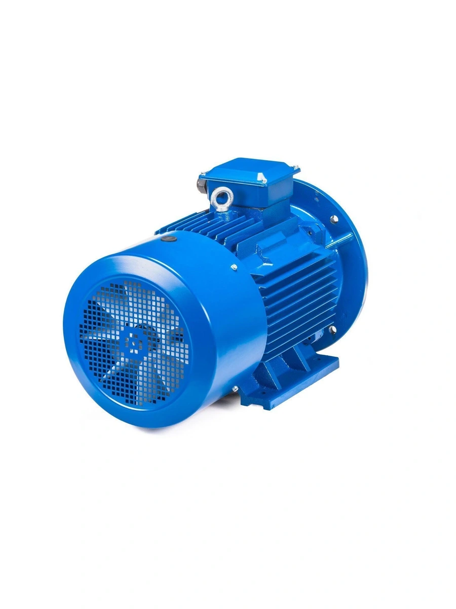 Электродвигатель 22 кВт 3000 об/мин Элком 5АИ 180 S2 22/3000