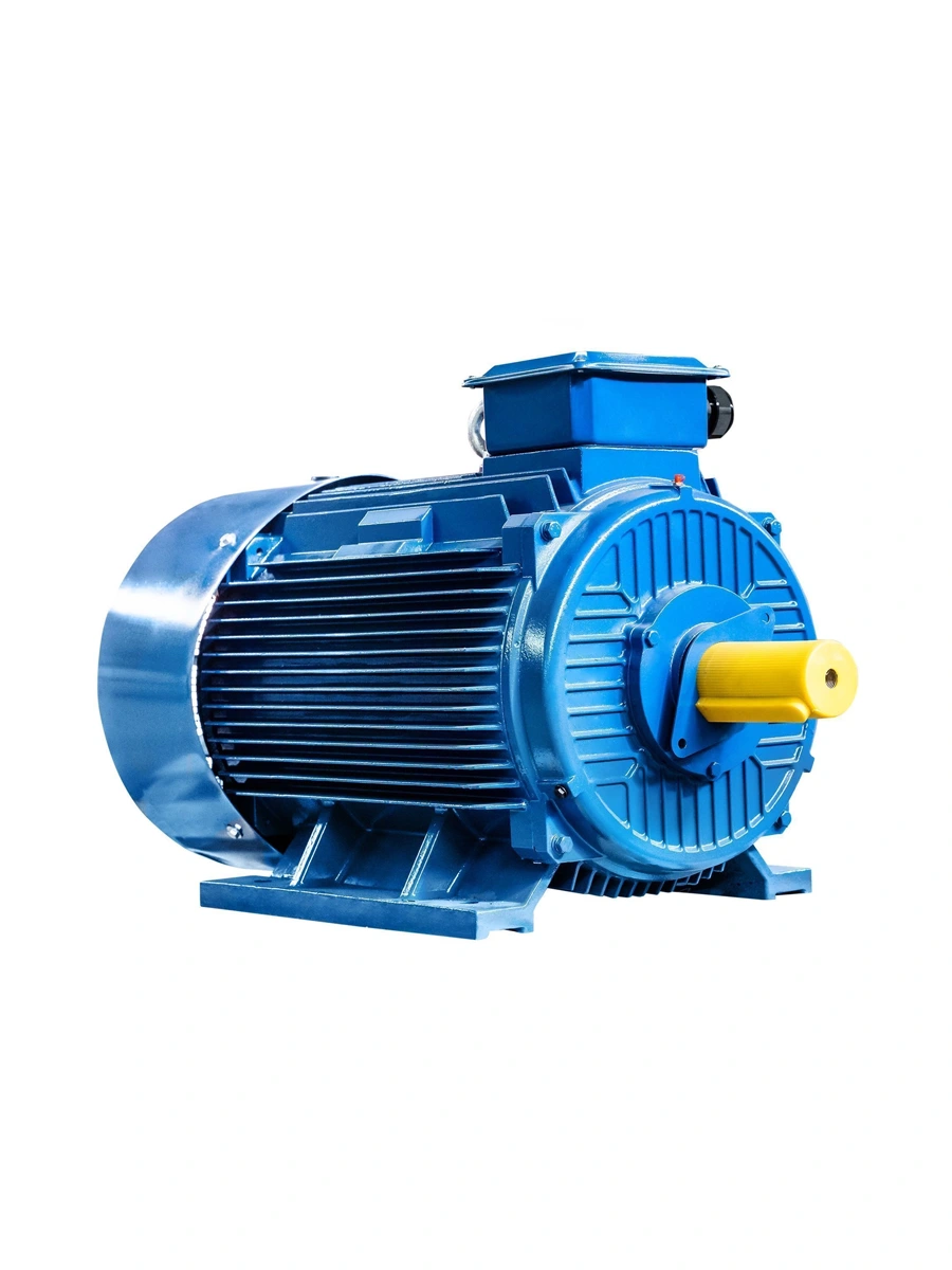 Электродвигатель 315 кВт 1000 об/мин Элком 5АИ 355 MLB6 315/1000