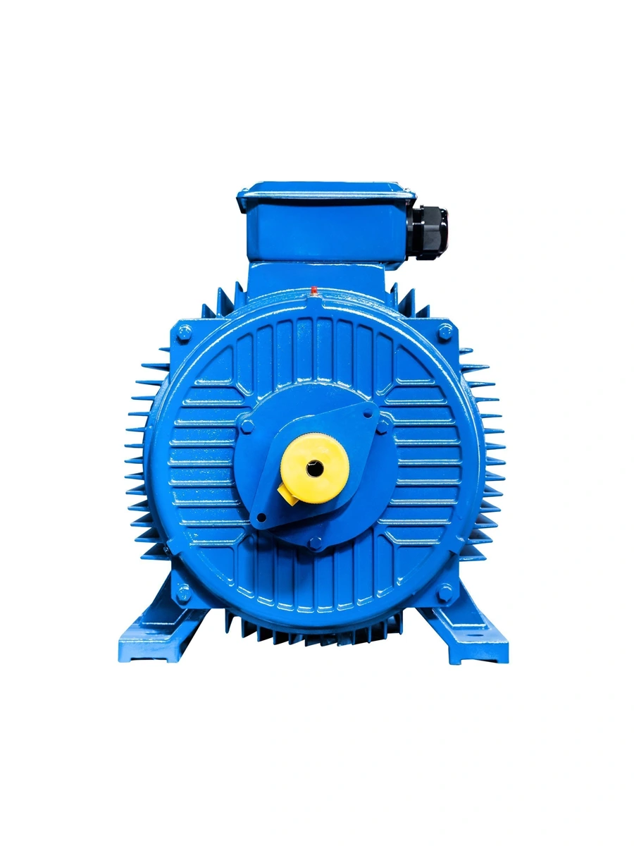 Электродвигатель 160 кВт 750 об/мин Элком 5АИ 355 М8 160/750