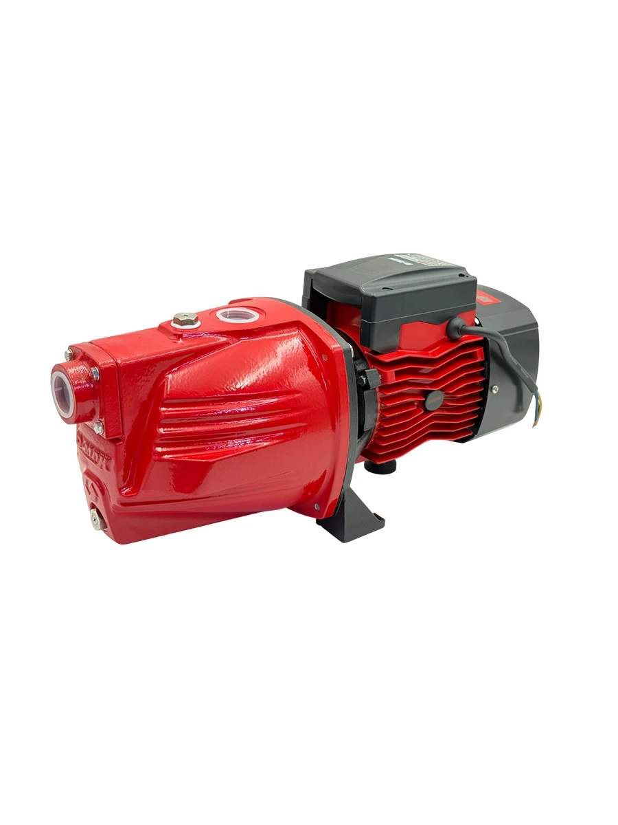 Садовый насос D-MAX DM-JT1000 (3158)